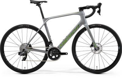 Велосипед MERIDA SCULTURA ENDURANCE RIVAL-EDITION cool grey (green) A62411A 03071 фото