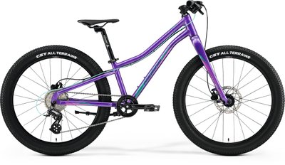 Велосипед Merida MATTS J.24+ dark purple A62211A 01595 фото