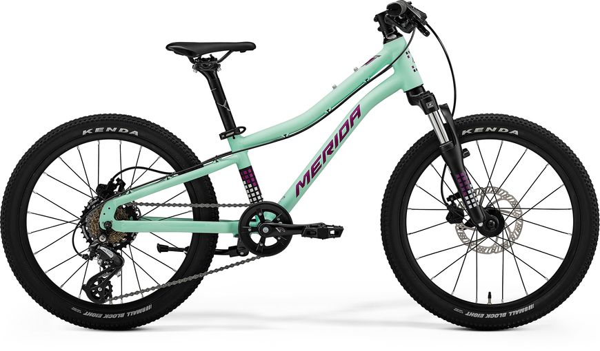 Велосипед MERIDA MATTS J. 20 matt mint (purple/wht/blk) A62411A 01049 фото