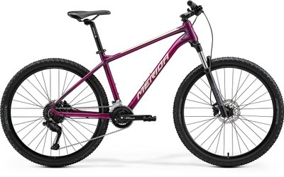 Велосипед MERIDA BIG.SEVEN 60 silk purple (champagne) A62411A 00978 фото