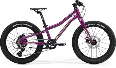 Велосипед Merida MATTS J.20+ purple A62211A 02039 фото