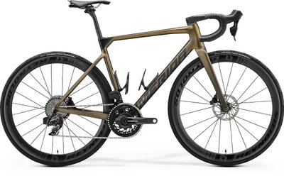 Велосипед MERIDA SCULTURA 9000 silk sparkling gold (black) A62411A 00185 фото