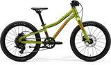 Велосипед Merida MATTS J.20+ fall green A62611A 01294 фото